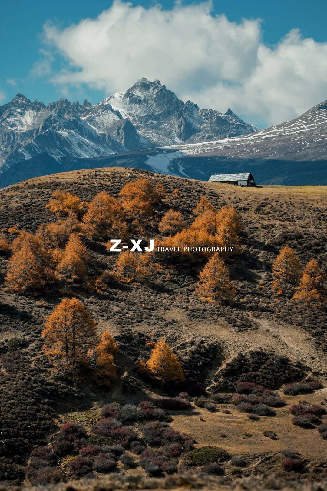 把今年的秋天🍂留给香格里拉_4_赵相机📸_云南-香格里拉-来自52tours 我爱旅游网